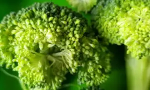 Польза и вред брокколи для здоровья женщины: важные аспекты