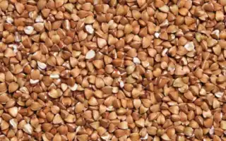 В каких продуктах содержится кремний в большом количестве и их польза