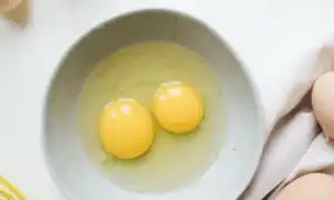 Состав белка и желтка куриного яйца и его пищевая ценность для здоровья