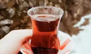 Польза и вред каркаде для здоровья организма – как его правильно заваривать и употреблять