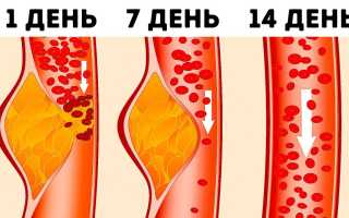 Что такое здоровая диета и как ее придерживаться для улучшения здоровья?