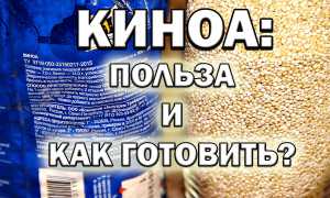 Киноа – польза и вред знаменитой крупы, способы приготовления и советы