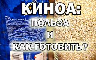 Киноа – польза и вред знаменитой крупы, способы приготовления и советы
