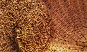 В каких продуктах клетчатка содержится в больших количествах и как это полезно