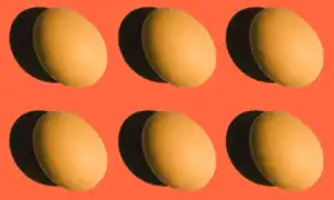 Белковая диета на 7 дней для похудения – меню на неделю со списком продуктов и рекомендациями