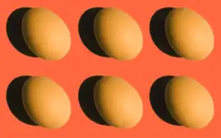 Белковая диета на 7 дней для похудения – меню на неделю со списком продуктов и рекомендациями