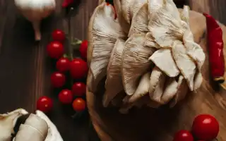 Польза и вред вешенок для здоровья организма человека