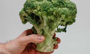 Щелочные продукты питания и показания к их потреблению для здоровья