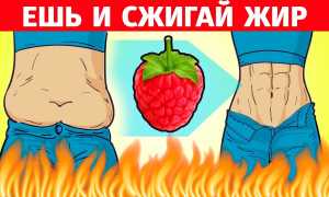Список продуктов, ускоряющих обмен веществ и сжигающих жир в организме для здоровья