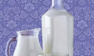 Кобылье молоко саумал и его полезные свойства для организма человека