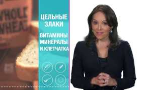 Что такое углеводы, и каких видов они бывают: большой список продуктов для здоровья