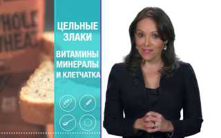 Что такое углеводы, и каких видов они бывают: большой список продуктов для здоровья