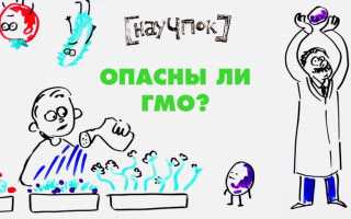 Что такое ГМО, и вредны ли генетически модифицированные продукты для здоровья?