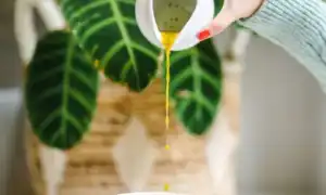 От каких продуктов нужно отказаться, чтобы похудеть и быть здоровым