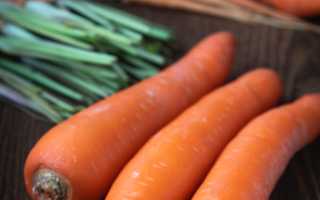 Польза бета-каротина для твоего организма и список продуктов с ним для здоровья