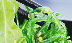 Польза и вред морской капусты для организма и её калорийность: важные аспекты