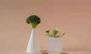ТОП-10 повышающих иммунитет продуктов для женщин и их состав для здоровья