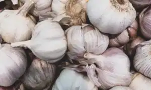 Польза и вред чеснока для здоровья организма человека и давления: важные аспекты