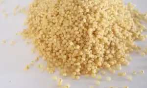 Польза и вред пшеничной каши для здоровья человека: все аспекты