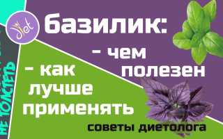 Какие витамины содержатся в зелёном и фиолетовом базилике для здоровья