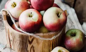 Чем полезны яблоки для организма человека и какие лучше для здоровья