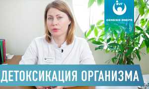 Детокс в домашних условиях: правила детоксикационной программы для здоровья