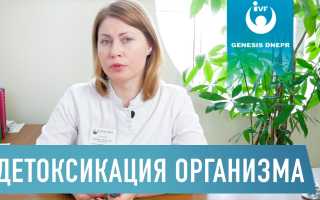 Детокс в домашних условиях: правила детоксикационной программы для здоровья
