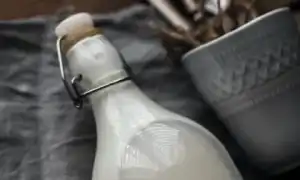 Польза и вред простокваши Мечникова для организма человека: мнение экспертов