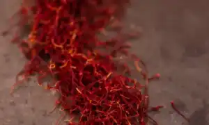 Польза и вред шафрана для здоровья человека – куда его добавлять и как использовать