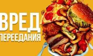 Почему нельзя много есть: чем чревата склонность к перееданию и её последствия