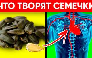 Польза и вред семечек подсолнуха для женщин и как их правильно жарить в домашних условиях