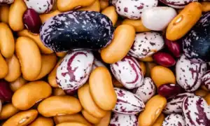 В каких продуктах содержатся лектины – список ТОП-10 полезных вариантов