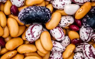 В каких продуктах содержатся лектины – список ТОП-10 полезных вариантов