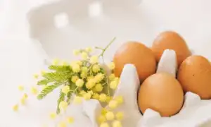 Польза и вред куриных яиц для организма человека и их состав: важные аспекты
