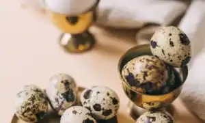 Чем полезны перепелиные яйца и скорлупа для женщин и их здоровья