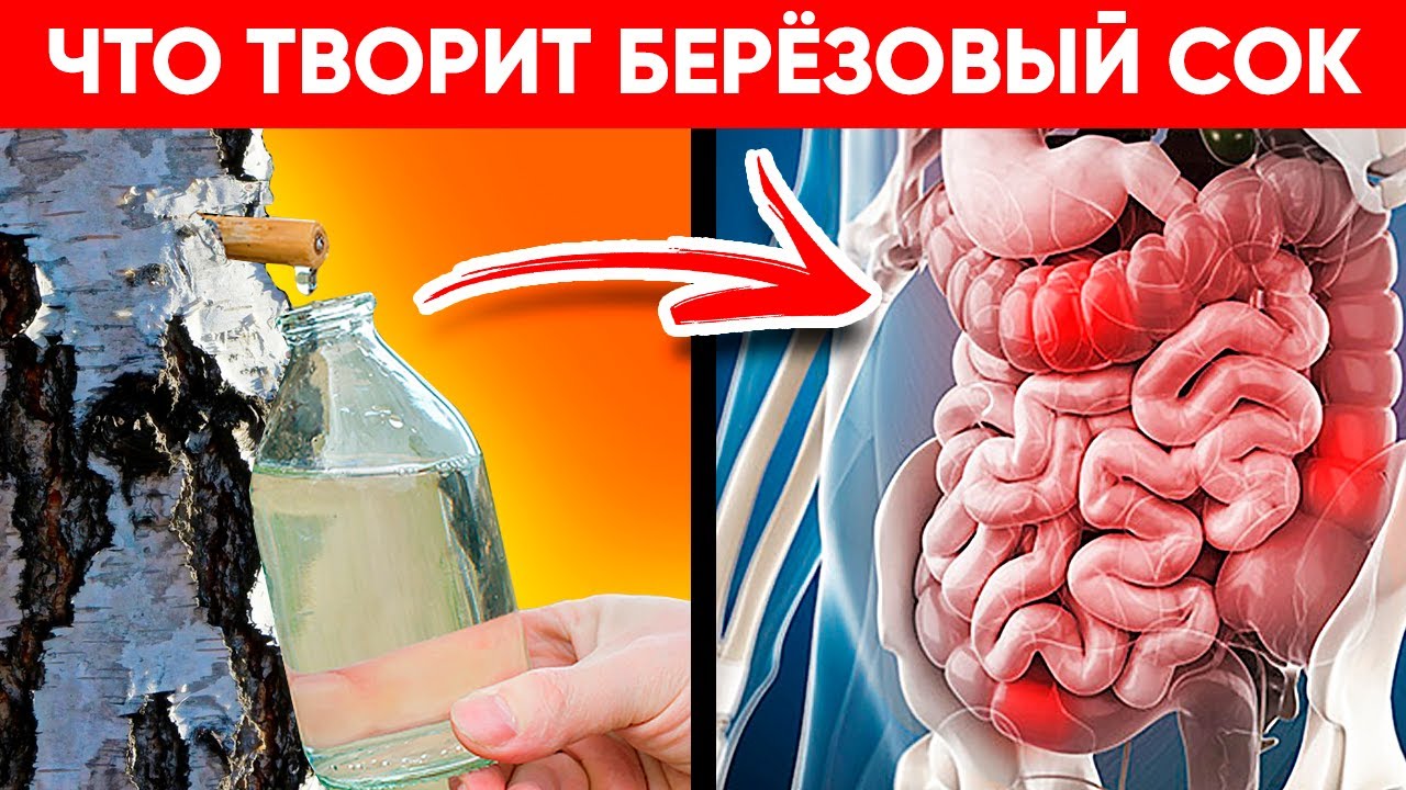 Польза и вред берёзового сока