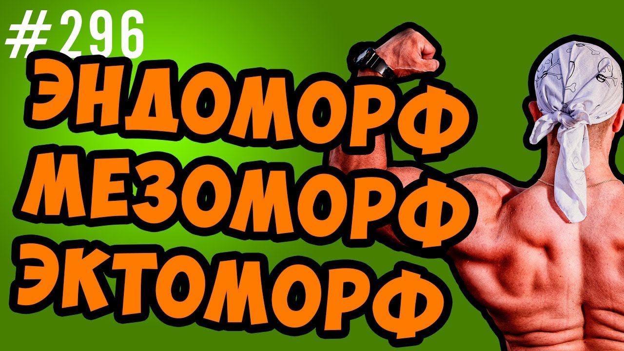 Типы телосложения