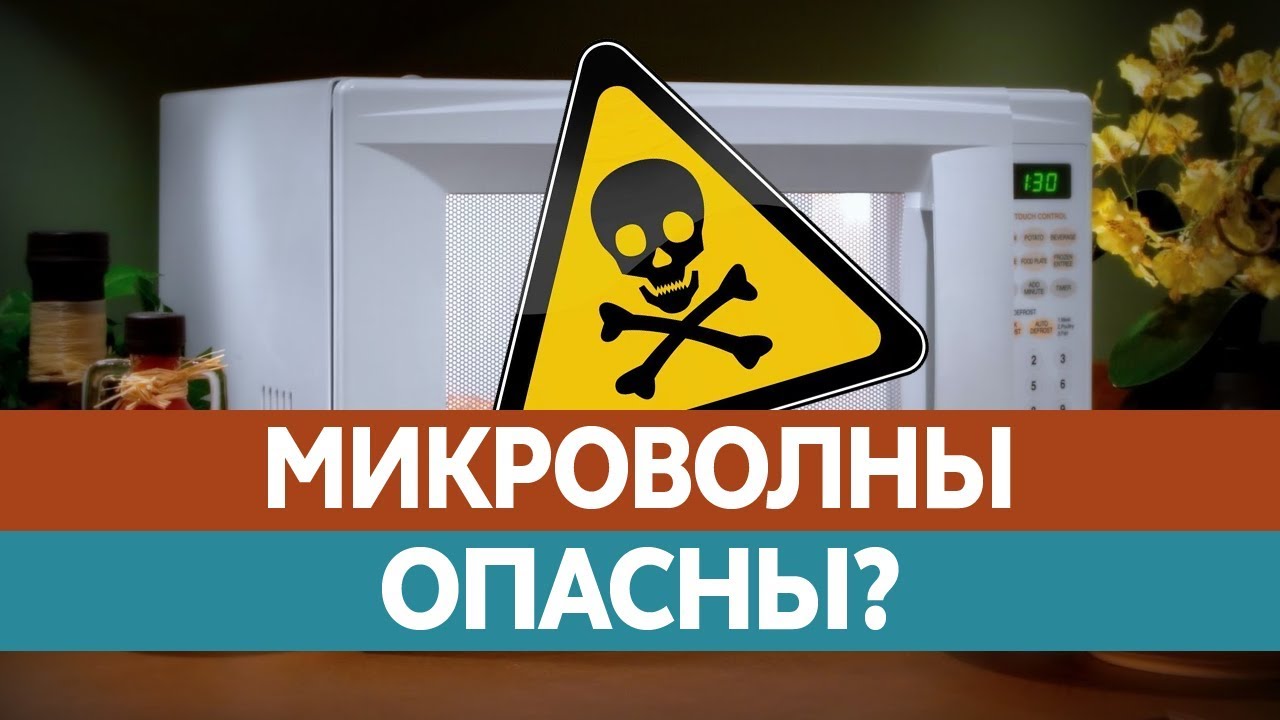Опасны ли микроволновые печи? 