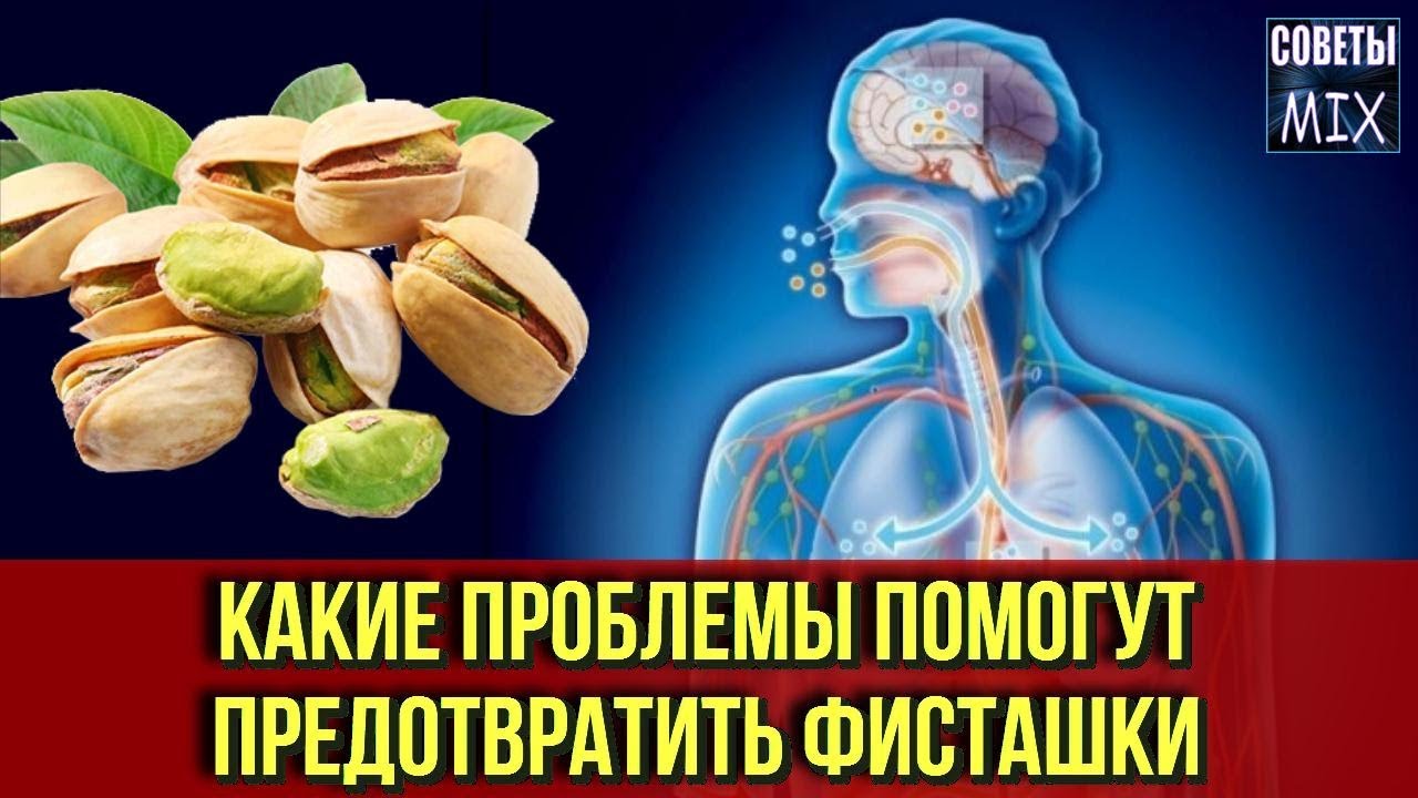 Фисташки: чем они полезны?
