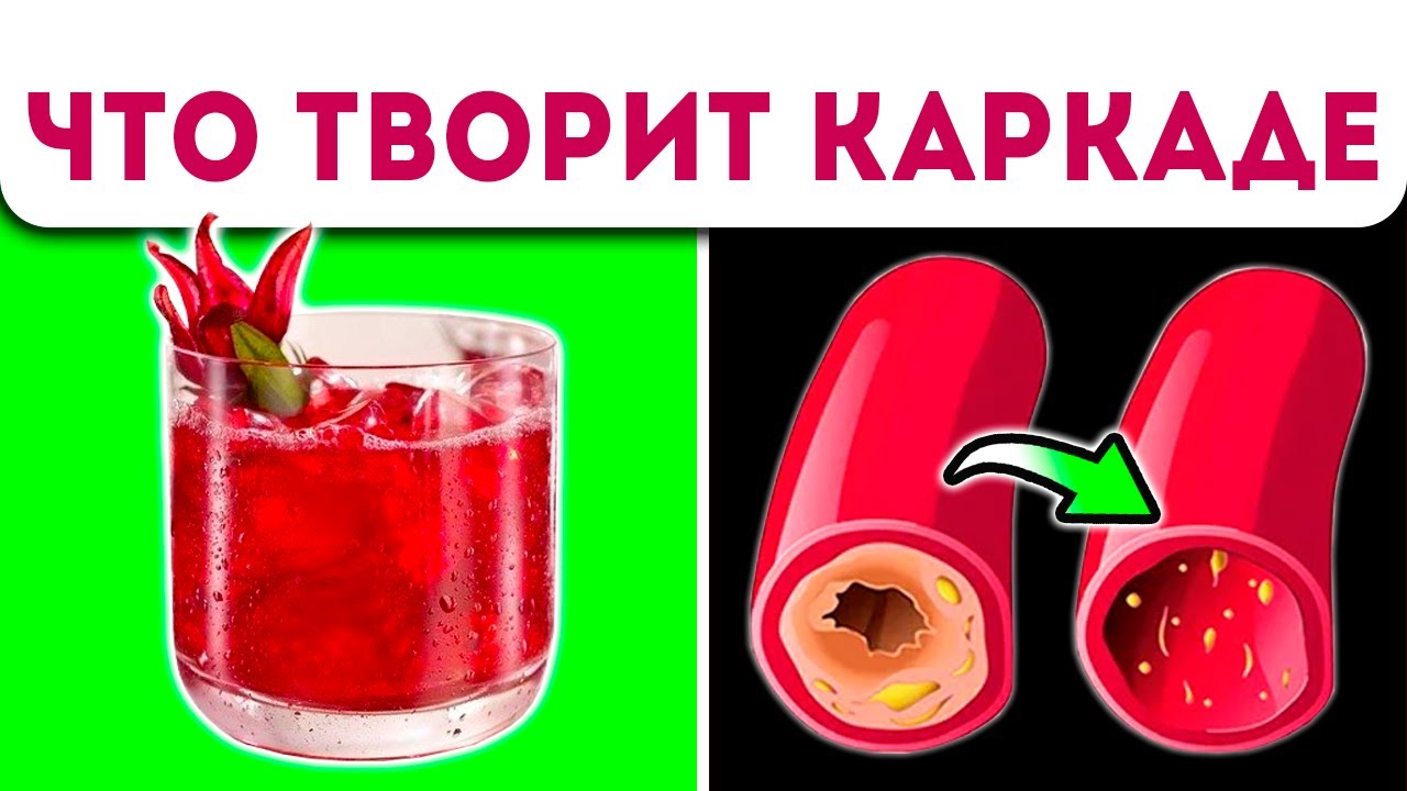 Польза и вред каркаде для здоровья