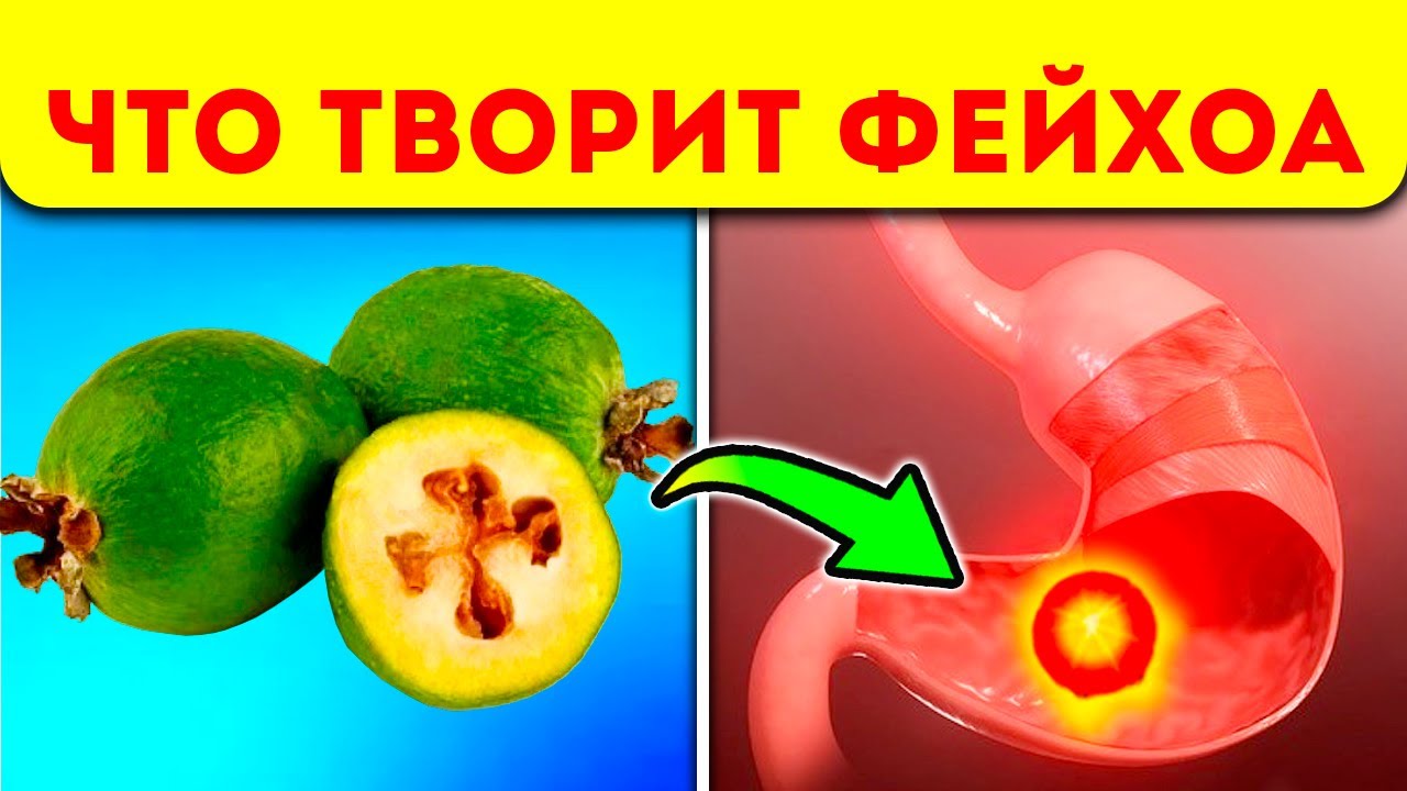 Что будет, если есть фейхоа каждый день?