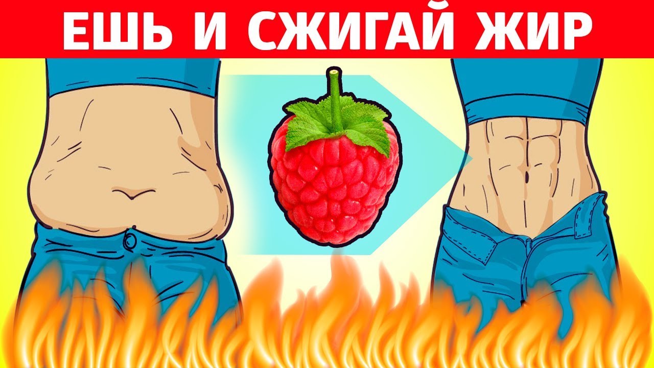 Топ 10 жиросжигающих продуктов