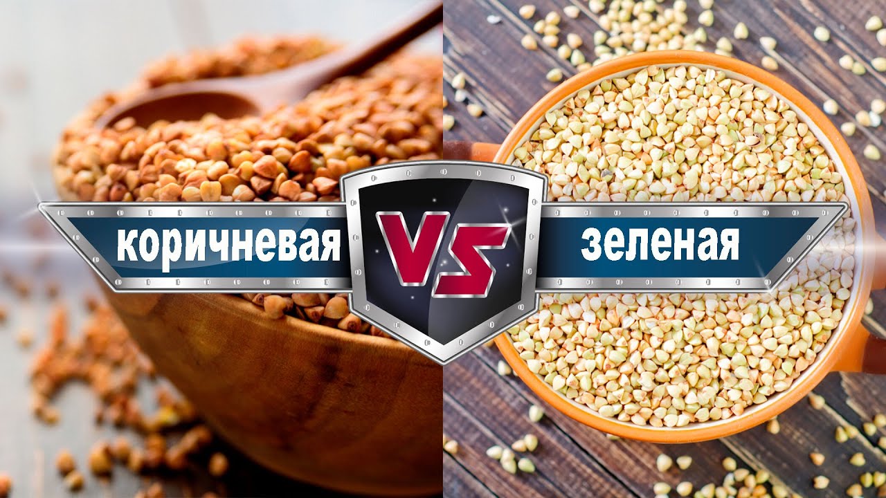 Зеленая гречка против коричневой: все о пользе, приготовлении и проращивании