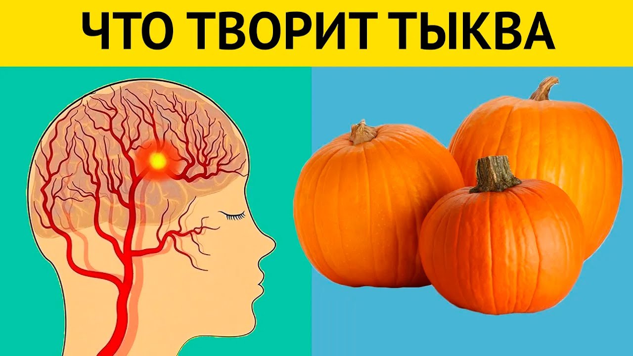 Польза и вред тыквы для здоровья