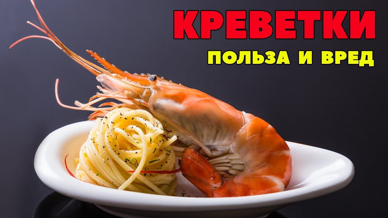 Чем полезны креветки?