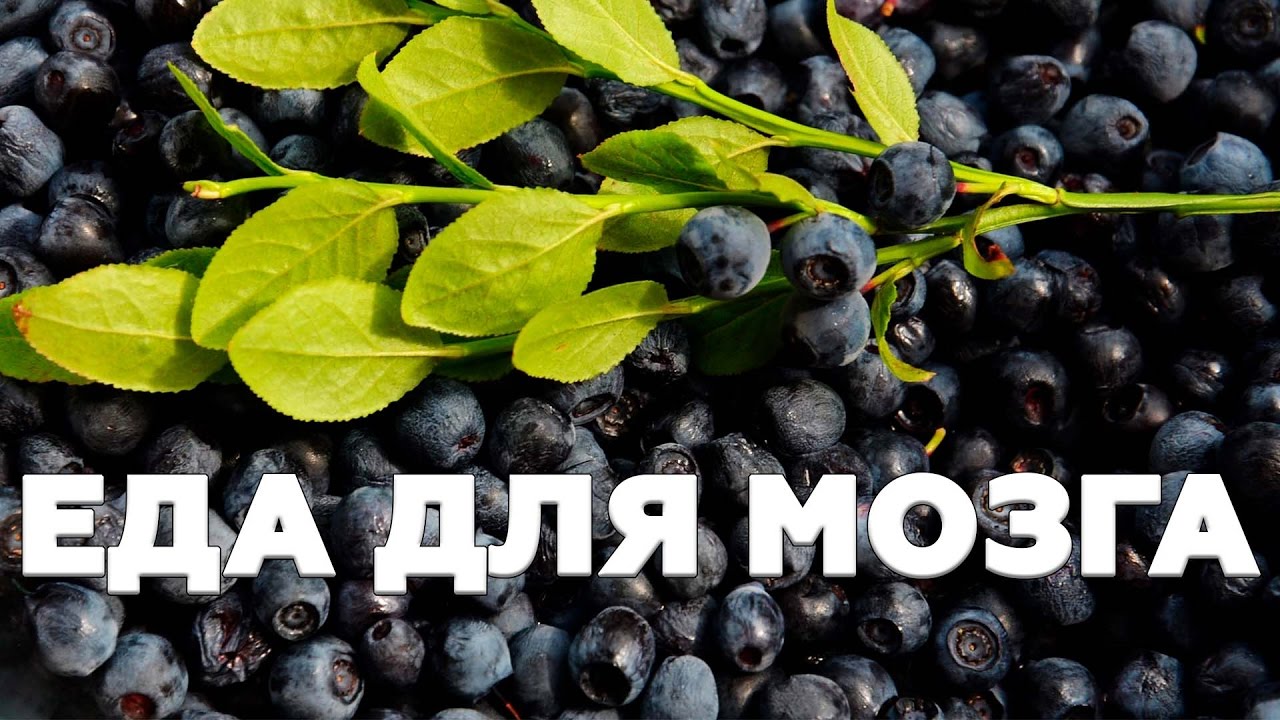 Что полезно для вашего мозга?