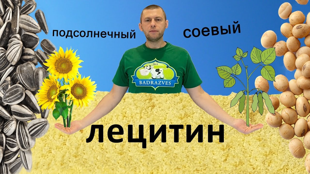 Какой лецитин лучше?