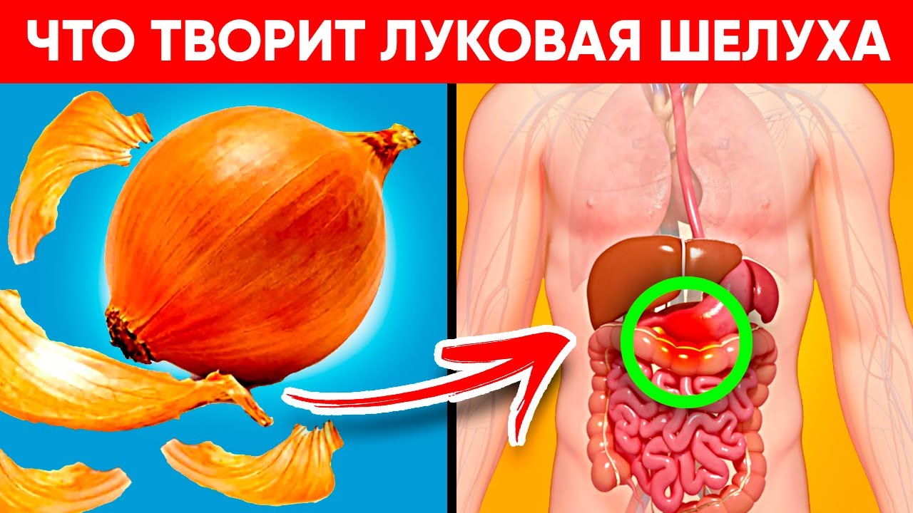 Польза и вред луковой шелухи
