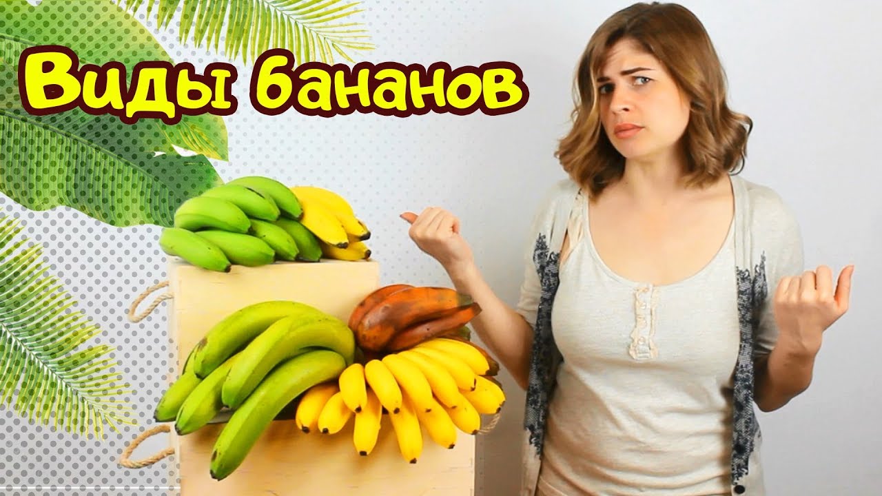 Необычные сорта бананов