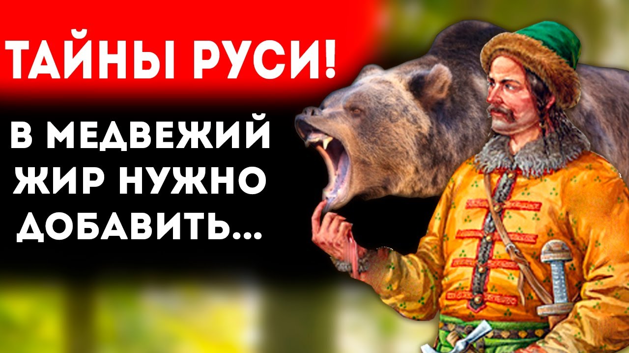 Польза медвежьего жира 
